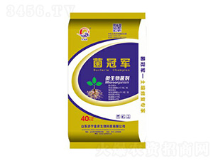 ΢�������-����܊-���Sϲ����