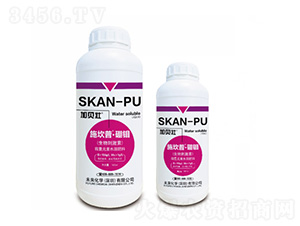 ʩ����-���f-δ��(l��i)���W(xu��)