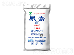 ����-�o�컯-�ź̹ɷ�