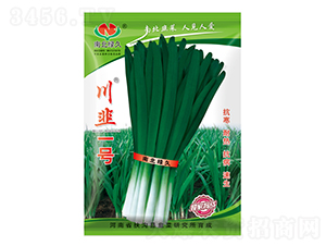 ����һ̖(h��o)-�²˷N��-�ϱ��G��