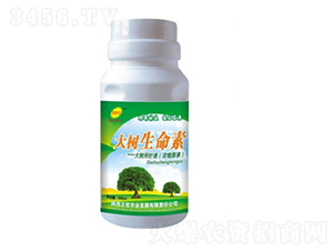 ���������-��������