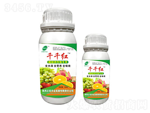 ǧǧ�t-��������