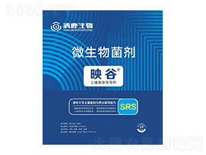 ӳ��΢�������-��¹����