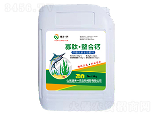 ���ġ������}-ʢ��һ�r