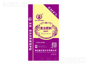 ����⛏ͺϷ���16-8-24-����������