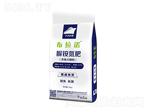 �������-�����Z-��������