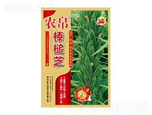 �r(n��ng)�����֥-��Ų�