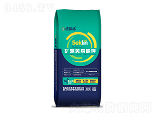 �VԴ�S�����-ʩ���S