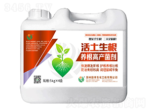 ��������-�۟o(w��)��