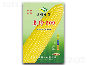 ����209-���׷N��-���S