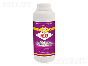 12Ԫ��-�o(h��)��-���Ԫ