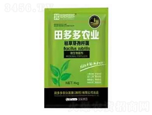 �ݲ�ѿ�ߗU��-�����r�I(y��)