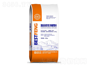 ��(f��)��΢�������-ʷ���S