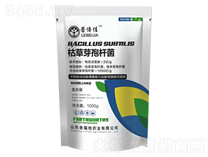 �ݲ�ѿ�ߗU��-�𸣵�