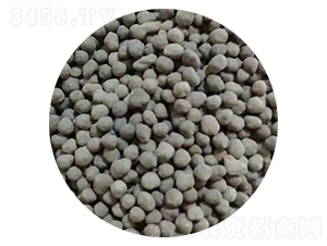 �w������-�𸣵�