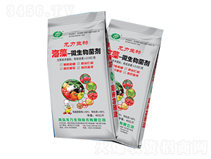 ����΢�������-��������