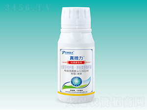 ���Sή����΢�������-��΢��-�����r(n��ng)�I(y��)