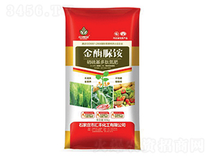 ��ø���@-����ؐ-�R�S����