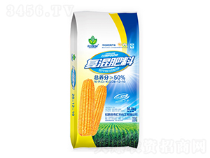 ���ȩ����⛏�(f��)�����28-12-10-����ؐ-�R�S����