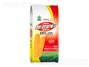 45%���ȩ��(f��)�����28-12-5-����ؐ-�R�S����