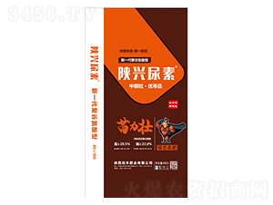 �������-�P�S�ʘI(y��)