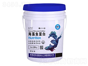 �����~����-�����Z-�S����