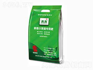 ��ͥС�ˈ@���÷�-ȽȽ-������