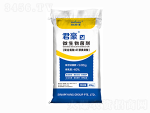 ΢����������w����-����-������