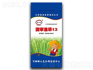 �����庵13��С���N�ӣ�-�Z�мZ-���ڷN�I(y��)