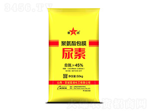 �۰�����Ĥ����-�ǝ�����