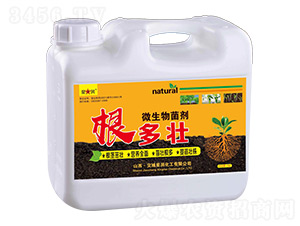 ΢�������-������-�ǝ�����