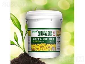 �I�B(y��ng)�ļ��w����-������