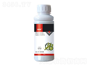 5%���S����-�ΰ��o