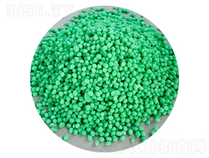 �V�w��-�ǈ�