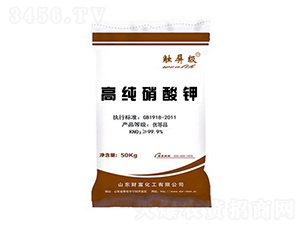 �߼������-ؔ������