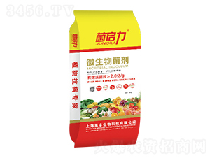 40kg΢�������-������-���S����