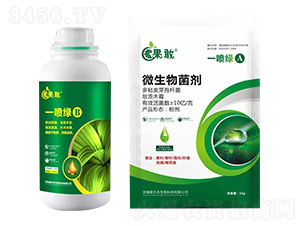 һ���GA+B-����-����������