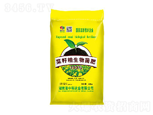 �������������-�п��r(n��ng)�I(y��)