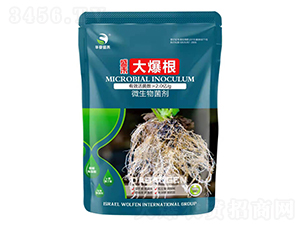 ΢�������-�󱬸�-ʢ��