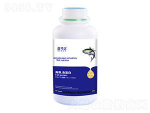 ���塤�~����-����_-�к̄���