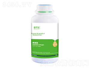 ���嵪-����_-�к̄���