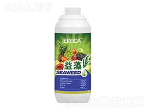 ����-����_-�к̄���