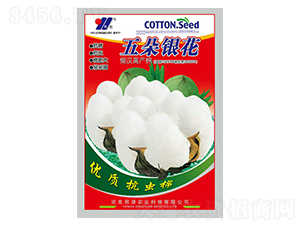 ����y��-�޻��N��-��Դ�r(n��ng)�I(y��)