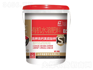 ��⛸��}�S�����-�𸻵�