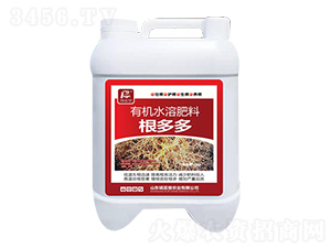 �����-�𸻵�