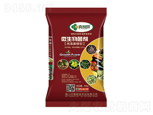 ���������΢�������-ϲ����