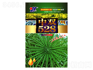 ���p528-�Ͳ˷N��-��Դ�r�I(y��)