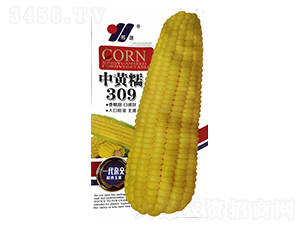 ���SŴ309����ɫ���b��-���׷N��-��Դ�r(n��ng)�I(y��)