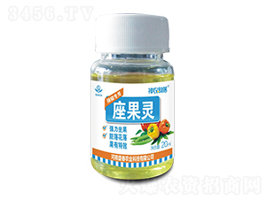 �����`���������ã�-���r(n��ng)����-ʢ���r(n��ng)�I(y��)