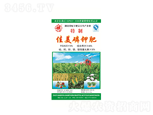 ��⛷�-����